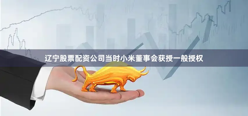 辽宁股票配资公司当时小米董事会获授一般授权