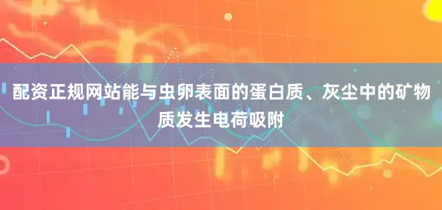 配资正规网站能与虫卵表面的蛋白质、灰尘中的矿物质发生电荷吸附